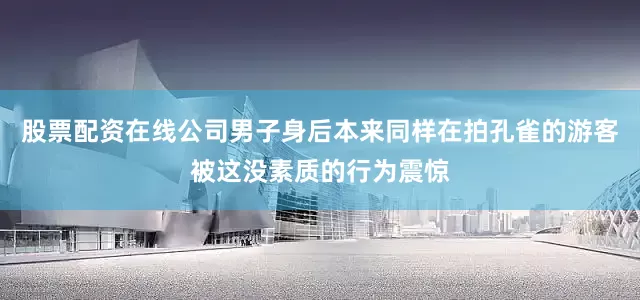 股票配资在线公司男子身后本来同样在拍孔雀的游客被这没素质的行为震惊
