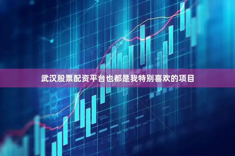 武汉股票配资平台也都是我特别喜欢的项目